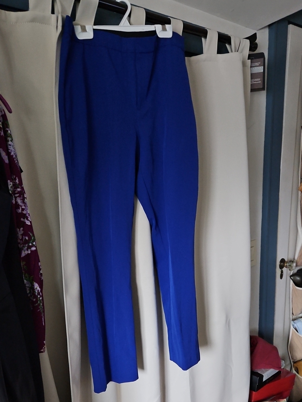 INC International Concepts Royal Blue Tailored Trousers